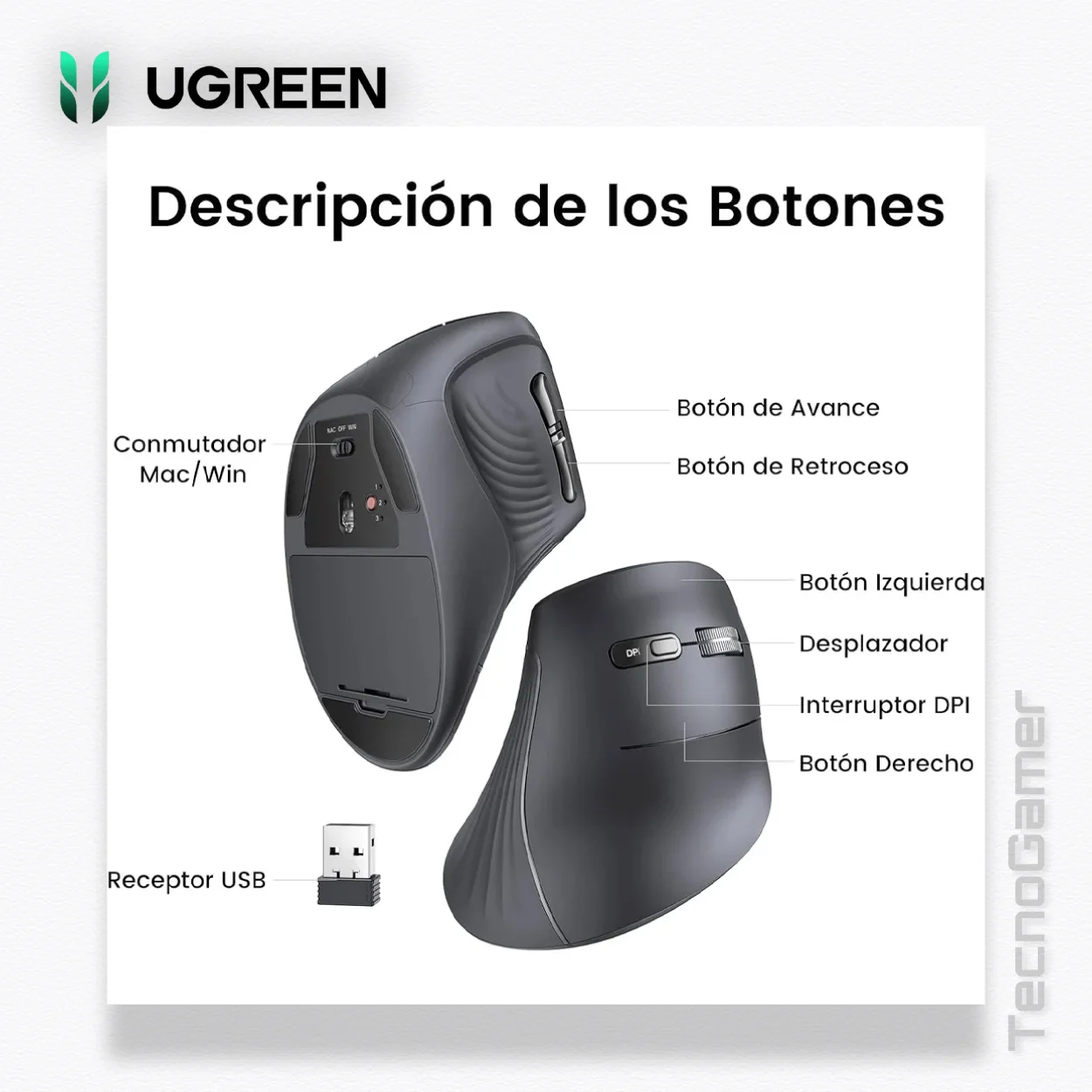 Mouse Ugreen MU008 Dual Mode Ergonomico - Imagen 2